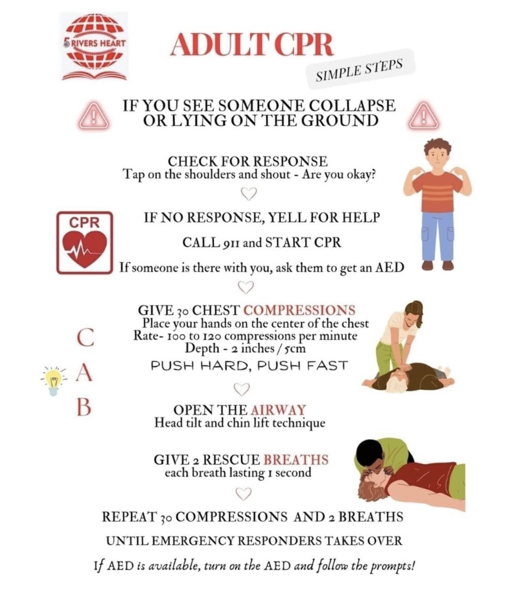 Adult CPR: simple steps health poster